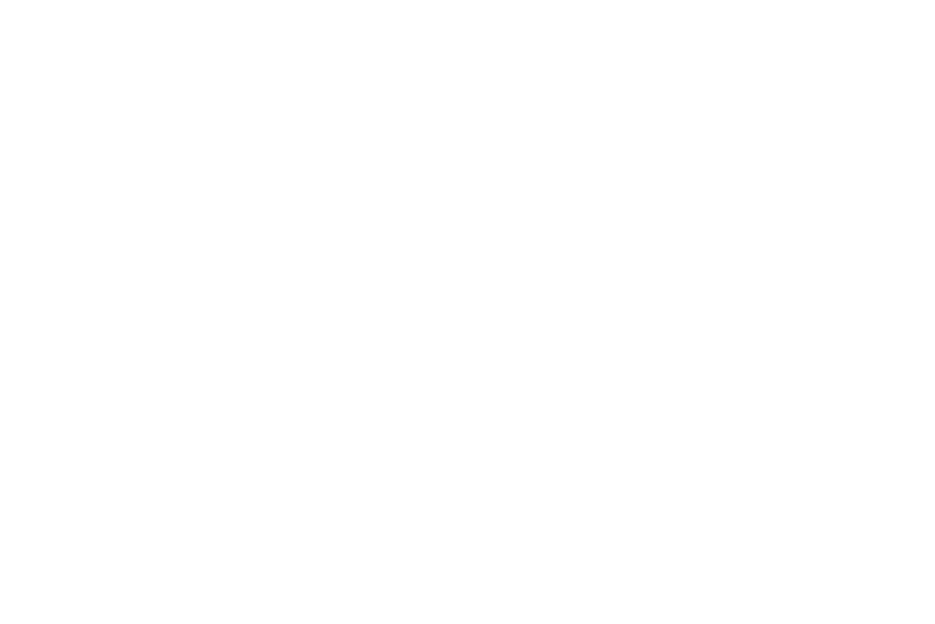 Logo Agile